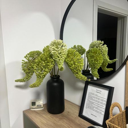 Rorada Apartament Făgăraş エクステリア 写真
